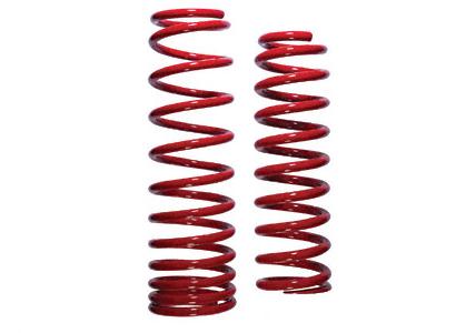 98-02 LS1 B&G Lowering Springs