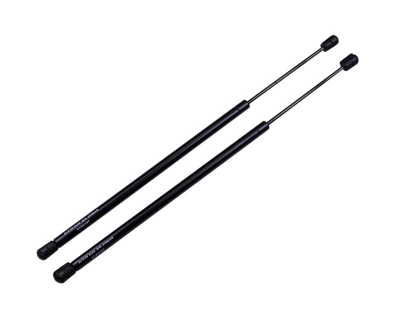 98-02 Firebird Trans Am WS6 Performance Years Hood Lift Supports - Black Finish